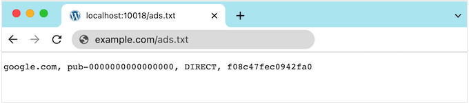 Cách tạo và quản lý files Ads.txt trong WordPress đơn giản 3 Cách tạo và quản lý files Ads.txt trong WordPress đơn giản